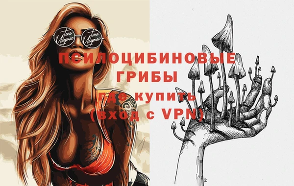 стаф Абаза