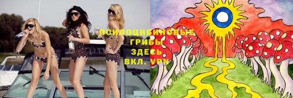 стаф Абаза