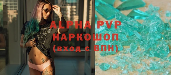 хмурый Ельня